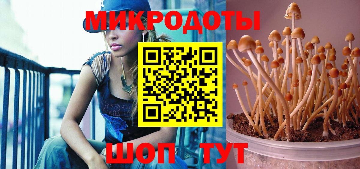 Псилоцибиновые грибы Psilocybine cubensis  Вход с VPN  Лобня 